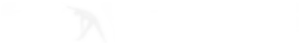 TechConverzion Logo